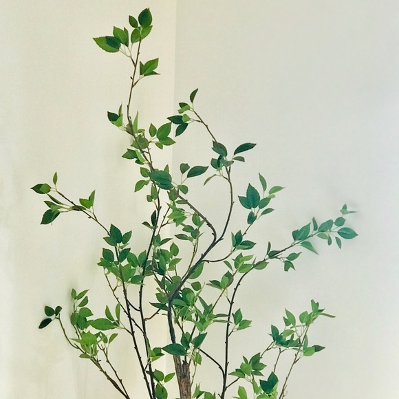 Meet your Posher, Margaret - Picture 1 of 1